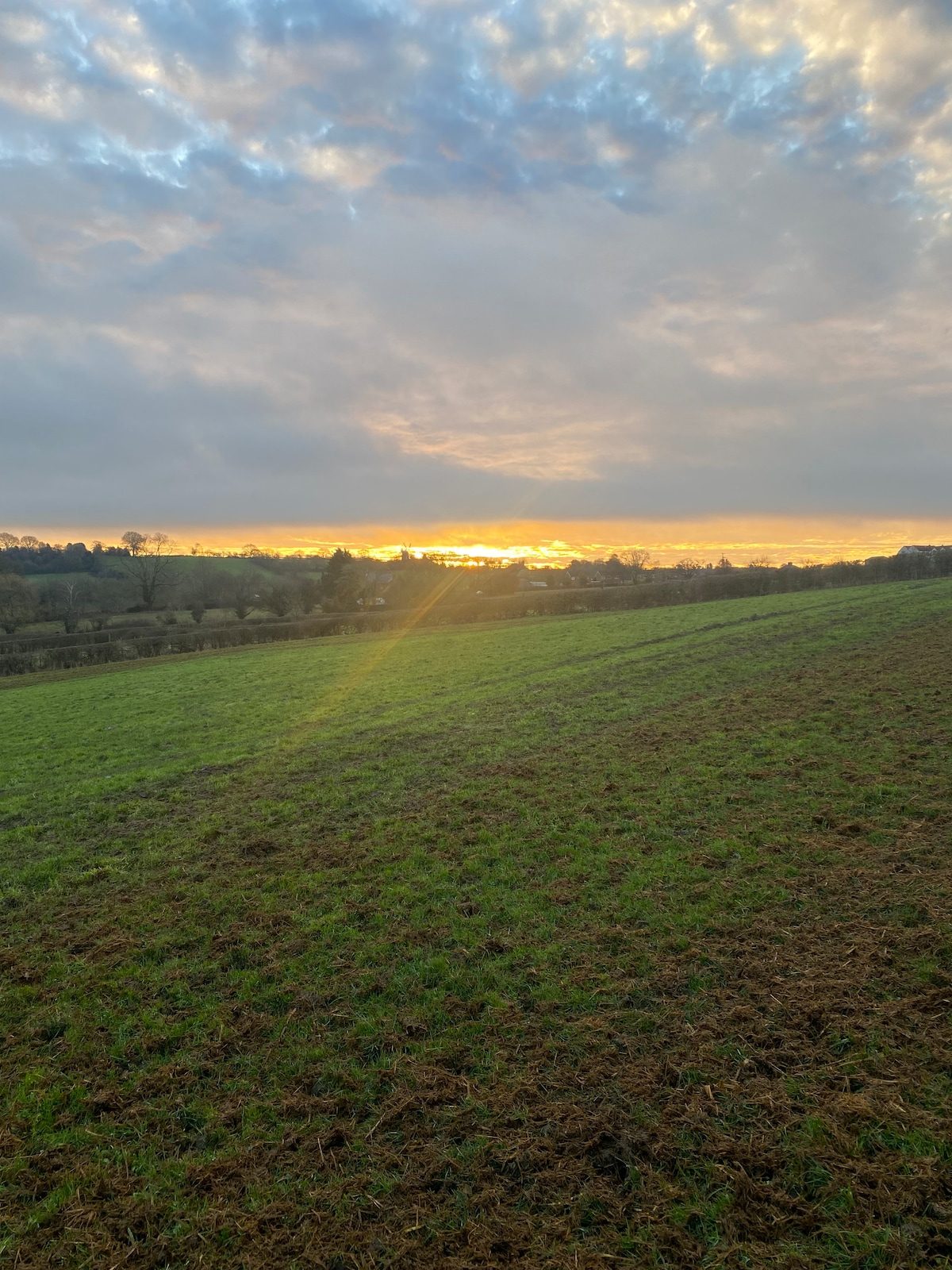 Sunset over the open fields surrounding the cabin